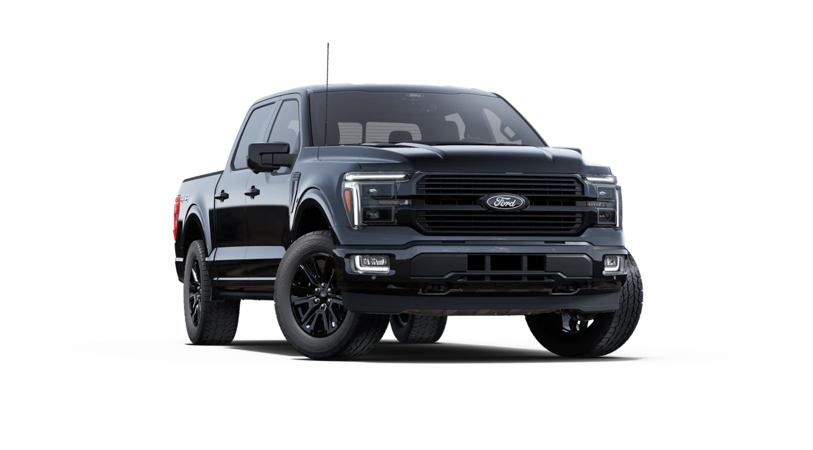 Platinum® trim image